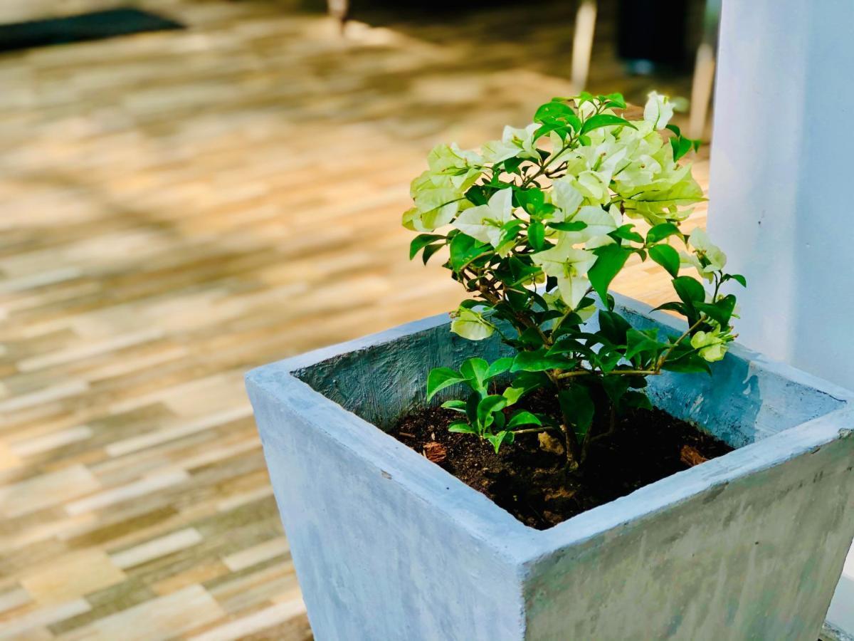 Habaraduwa CentralSiri'S Residencyアパートメント エクステリア 写真